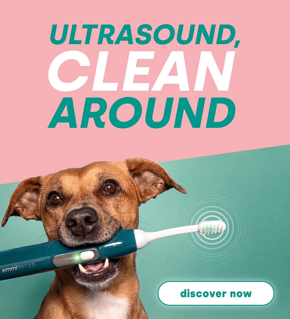 ultrasound dental care